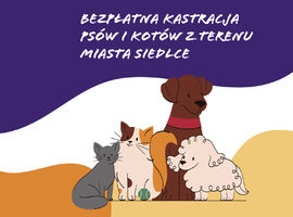 Bezpłatna kastracja  psów i kotów z terenu miasta Siedlce