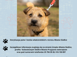 Informacja o sterylizacji zwierząt
