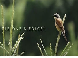 Zielone Siedlce? Naturalnie!