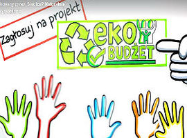 Eko budżet 2017