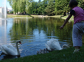 ZOO w parku Aleksandria - to tylko żart