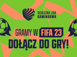 Siedlecka Liga Gamingowa