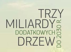 3 miliardy dodatkowych drzew do 2030 roku