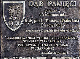 Dąb kapitana Olszewskiego